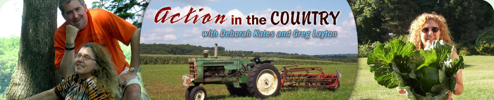Action in the Country