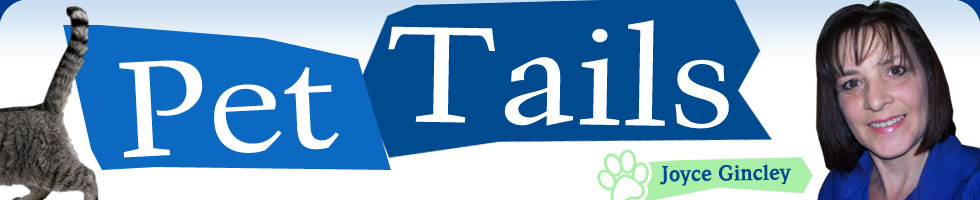 Pet Tails