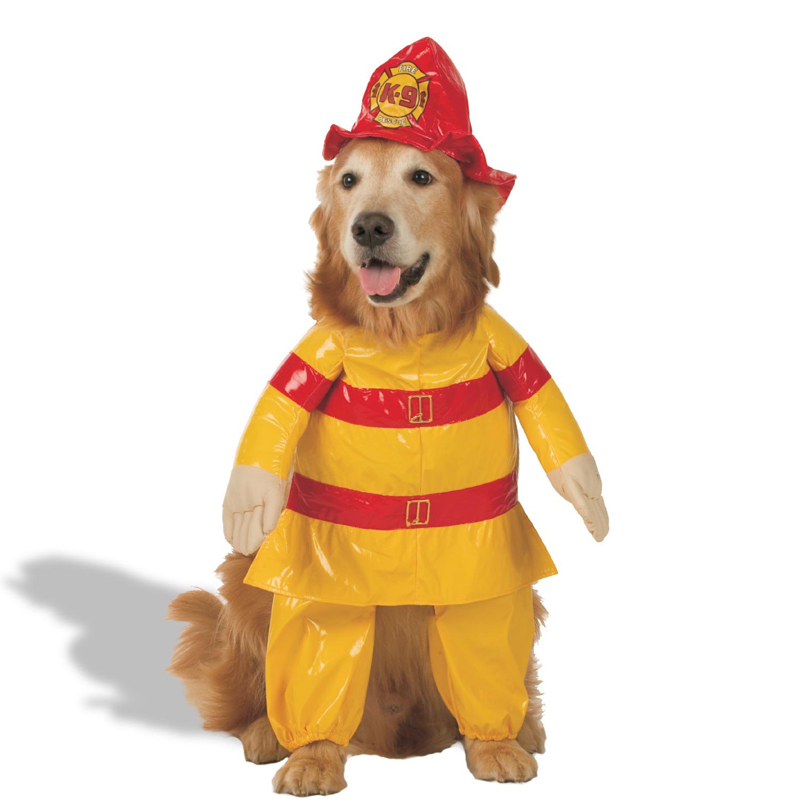 Dog Fire