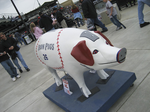 Pig